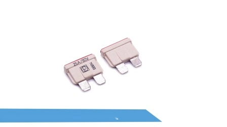 Littelfuse 166.7000 Serie 3A 4A 5A 7.5A 10A 15A 20A 25A 30A Fusibile a lama stile ATO FCS standard automobilistico per auto 80 v